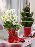 Rubber boots dressed up for Christmas as a planter (5/5)
