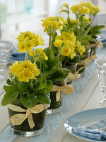 Jars with primula veris (cowslip, sky key)