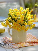 Narcissus 'Soleil d'Or' (Tazett daffodils) in a jar