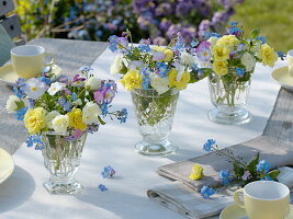 Small spring bouquets of Viola cornuta (horned violet), Myosotis