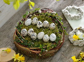 Osternest mit beschrifteten Wachteleiern : frohe Ostern