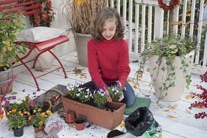 Mädchen pflanzt im Kasten mit Hornveilchen und Tulpenzwiebeln 2/4