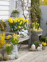 Osterterrasse mit Forsythia 'Lynwood Gold' (Goldglöckchen), Narcissus