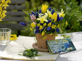 Blau-gelber Frühlingsstrauß: Muscari (Traubenhyazinthen), Tulipa (Tulpen)