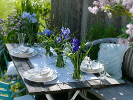 Stehsträuße aus Iris barbata (Bart-Iris) und Miscanthus (Chinaschilf)