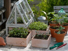 Vegetable cultivation in spring