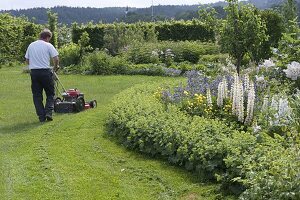 Man mowing the lawn