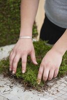 DIY wire and moss planter box 4/10