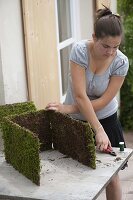 Wire and moss planter box 5/10