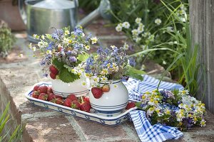 Kleine Sträuße aus blühenden Kräutern und frischgepflückte Erdbeeren