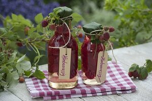 Homemade raspberry vinegar