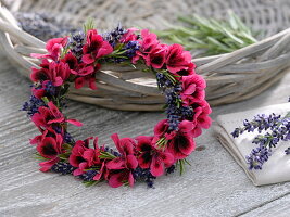 Small wreath of flowers of Pelargonium grandiflorum Aristo 'Claret'