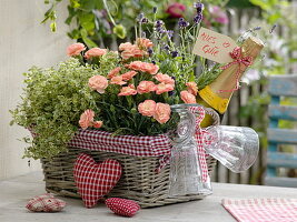 Geschenkekorb mit Dianthus caryophyllus (Nelken), Oregano