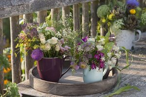 Pink (Roses), Astrantia (Starthistle), Clematis (Wood Vine), Thlaspi