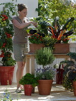 Vegetables and herbs on the balcony