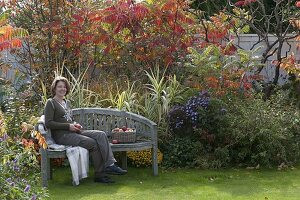 Halbrunde Bank vor herbstlichem Beet mit Arundo donax 'Versicolor'