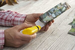 Making seed packets yourself from calendar sheets