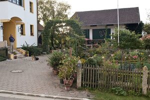 Künstlergarten: gepflasterte Hofeinfahrt führt durch Torbogen aus Carpinus