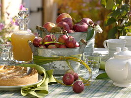 Äpfel (Malus) in Blechgefäßen, Spartina (Goldleistengras) als Schleife