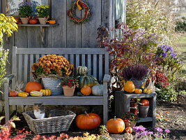 Autumn design at the garden house