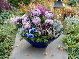 Grave bowl planted with Chrysanthemum grandiflorum 'Malabar'