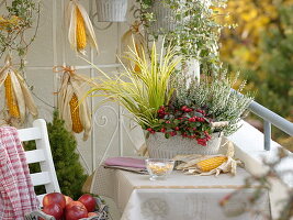 Autumn balcony with planted metal jardiniere