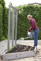 Create trapeze beds as a vegetable and herb garden