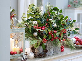 Christmas arrangement with Ilex (holly), Pinus (pine)