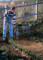 Im Herbst Kompost im Bauerngarten ausbringen