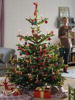 Abies nordmanniana (Nordmanntanne) als Weihnachtsbaum geschmückt