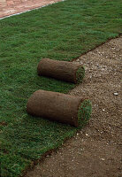 Laying sod