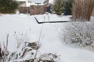 Verschneiter Garten mit Liegestühlen, Sinarundinaria