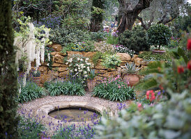 Mediterraner Garten auf der Chelsea-Flower-Show