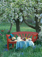 Red bench and breakfast table under a flowering cherry tree