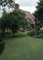 Thatched house with Malus (apple tree) as house tree