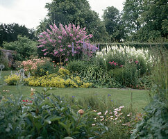 Lavatera, alstroemeria, alchemilla