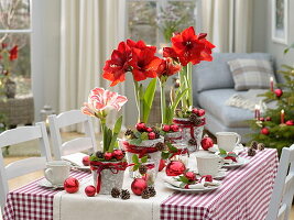 Red-white amaryllis table decoration