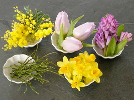 Acacia (mimosa), Hyacinthus (hyacinth), Narcissus
