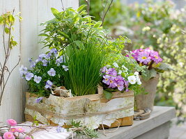 Herbs and edible flowers in a basket