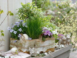 Herbs and edible flowers in basket