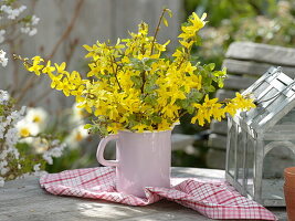 Zweige von Forsythia (Goldglöckchen) und Malus (Zierapfel) in Emaillekanne