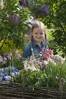 Girl picking bouquet in spring garden, Aquilegia (columbine), Viola cornuta