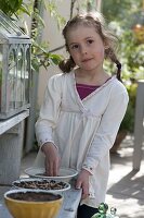 Girl sowing wheatgrass for Easter