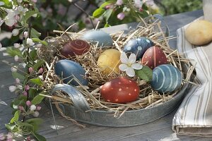 Color Easter eggs naturally