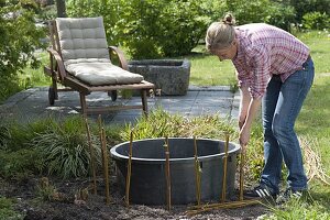 Mini pond with planted willow border (2/12)