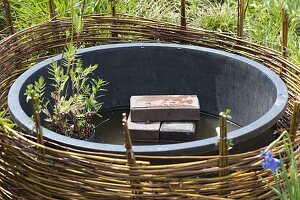 Mini pond with planted willow edging