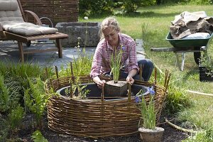 Mini pond with planted willow edging