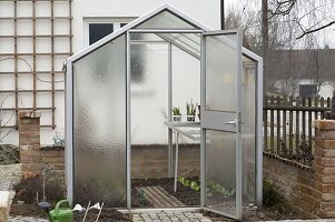 The first vegetables planted in the greenhouse