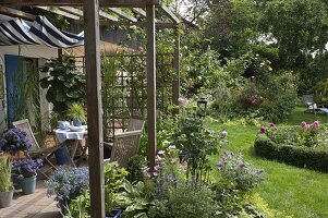 Blick von der Terrasse in den blühenden Garten mit Rosa