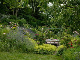 Seat under small pavilion in rose garden